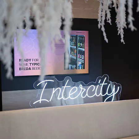 酒店 Intercityhotel 布雷达
